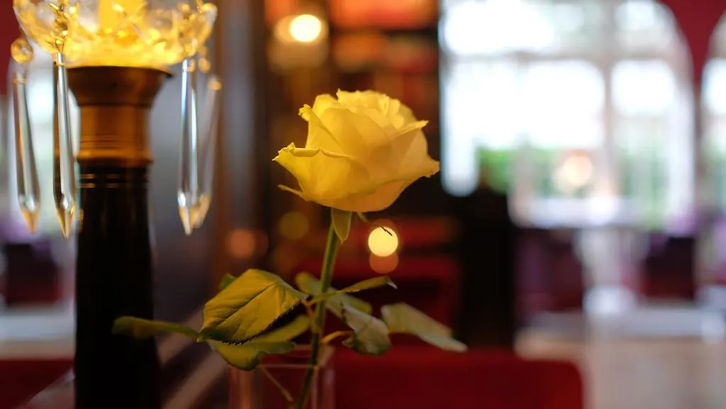 Apollofirst Boutique Hotel Amsterdam Paesi Bassi